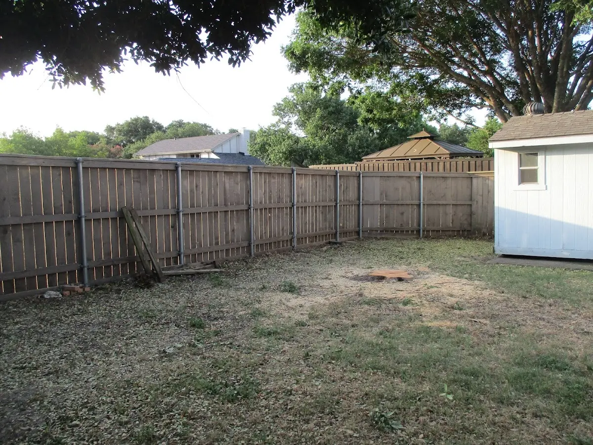 Cleared yard after professional tree removal in Bettendorf